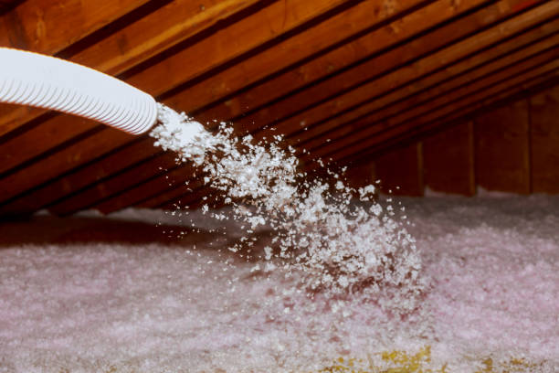 Best Spray Foam Insulation in Laguna Beach, CA