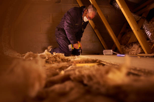 Best Residential Insulation in Laguna Beach, CA